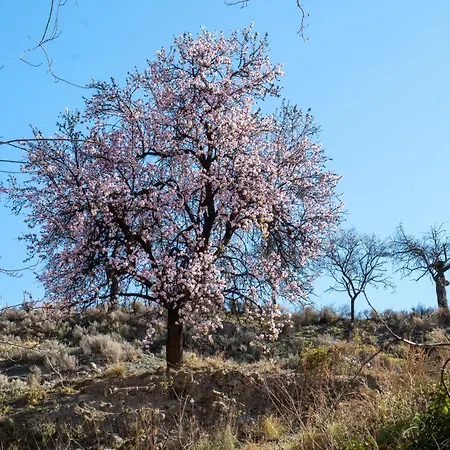 En Granja Ecologica Laujar De Andarax